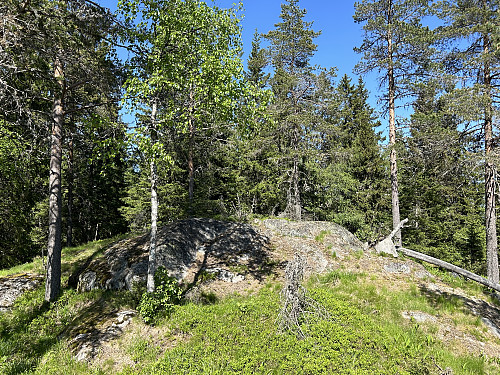 Storhaugen 421 moh like nord for Bjørnsjøhelvete 