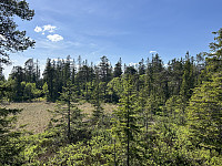 ØyvindBergkvam_20240924_66f2b8e9697f4.jpg