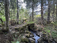 ØyvindBergkvam_20241001_66fc39cd1746e.jpg