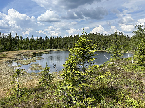 Sandbekkmana bak til høyre fra tjern 587m