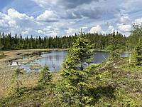 ØyvindBergkvam_20241001_66fc39d114c67.jpg