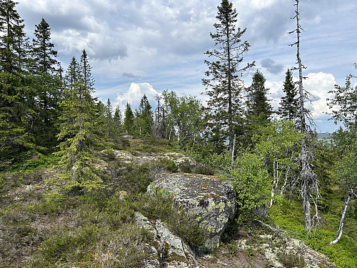 Sandbekkmana i Ringerike