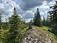 ØyvindBergkvam_20241001_66fc39d569729.jpg