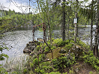 ØyvindBergkvam_20241001_66fc39d855999.jpg