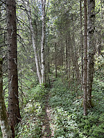 ØyvindBergkvam_20241001_66fc3e23447dc.jpg