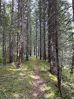 ØyvindBergkvam_20241001_66fc3e2636a88.jpg