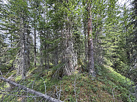 ØyvindBergkvam_20241001_66fc3e29263b6.jpg