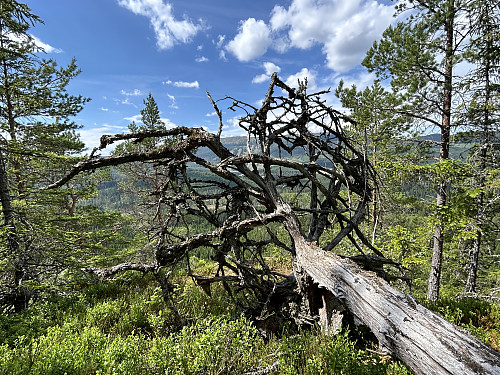 Kunstverk på Klasåsen