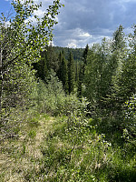 ØyvindBergkvam_20241001_66fc41ae78df5.jpg