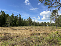 ØyvindBergkvam_20241001_66fc41b14f3ef.jpg