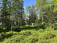 ØyvindBergkvam_20241001_66fc41b559d16.jpg