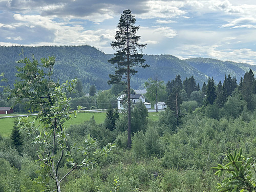 Utsyn tilbake mot gamle Sjøen skole hvor jeg parkerte.