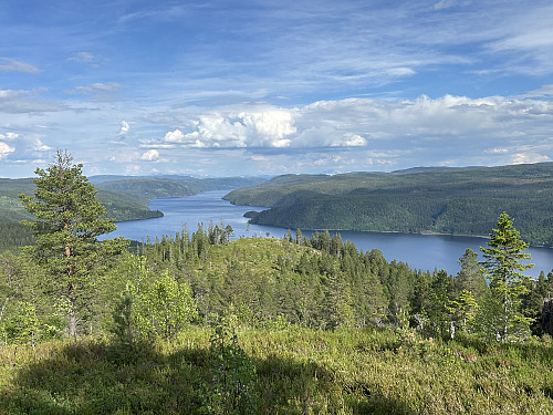 Fin utsikt over Selbusjøen fra toppen