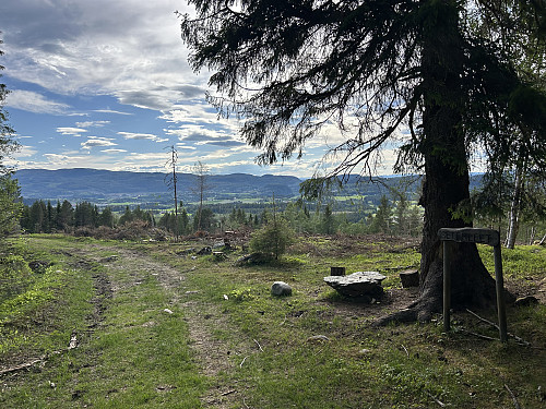 Fin utsikt vestover fra skogbilveien. Vassfjellet ses bak til venstre i bildet