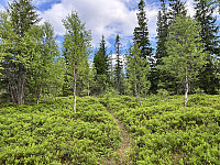 ØyvindBergkvam_20241003_66feb7d24ce24.jpg