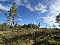 ØyvindBergkvam_20241003_66feb7d5c63e7.jpg
