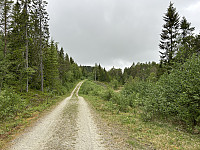 ØyvindBergkvam_20241003_66febb0000ac1.jpg