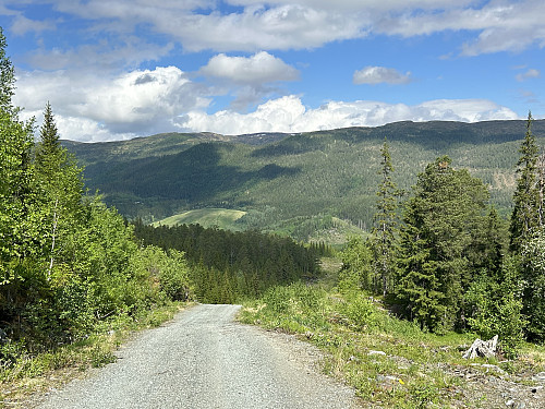 Første del av turen gikk på en god grusvei som førte opp til ei hytte.
