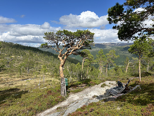 Her er stigningen opp fra dalen unnagjort og hvilekrakken står klar!
