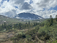 ØyvindBergkvam_20241003_66fec4db72c0b.jpg