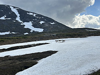 ØyvindBergkvam_20241003_66fec4de3aeed.jpg