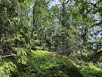 ØyvindBergkvam_20241007_6703de4282ecc.jpg