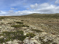 ØyvindBergkvam_20241007_6703e9348b63a.jpg