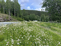 Fra der hvor jeg parkerte med Aunkammen i bakgrunnen.