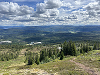 ØyvindBergkvam_20241007_67041a918078b.jpg