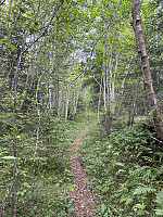 ØyvindBergkvam_20241007_67041eb7b8824.jpg