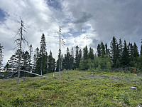 ØyvindBergkvam_20241007_67041eb9bef3e.jpg