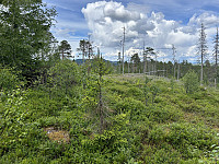 ØyvindBergkvam_20241007_67041ebb79b1b.jpg