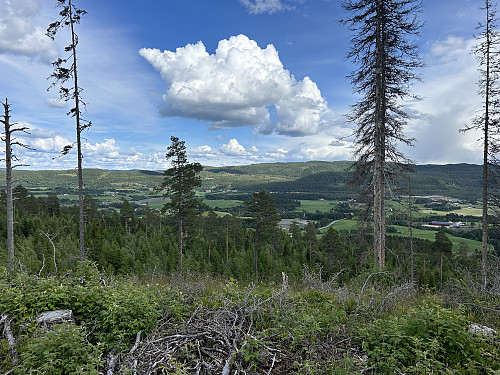 Fin utsikt mot SØ