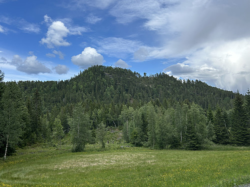 Storåsen sett fra bilveien vestfra