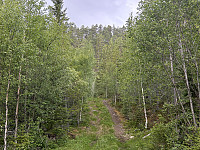 ØyvindBergkvam_20241007_67042156a488e.jpg