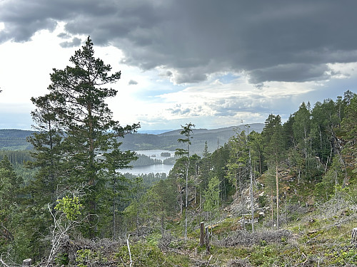 Nesten oppe på toppen er det litt utsikt vestover mot Kilvatnet