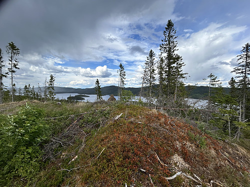 Toppen av Storåsen med Jonsvatnet i bakgrunnen