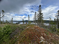 ØyvindBergkvam_20241007_67042159c77f0.jpg