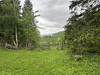 ØyvindBergkvam_20241008_6704e43e0e1a9.jpg