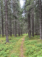 ØyvindBergkvam_20241008_6704e4445521e.jpg