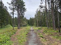 ØyvindBergkvam_20241008_6704e864a0d62.jpg