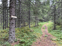 ØyvindBergkvam_20241008_6704ec0de793e.jpg