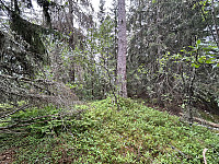 ØyvindBergkvam_20241008_6704ec186dfbd.jpg