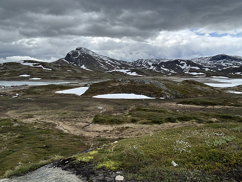 Bitihorn ruver godt i sør