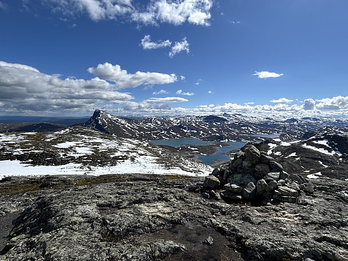 Synshorn med Bitihorn i bakgrunnen