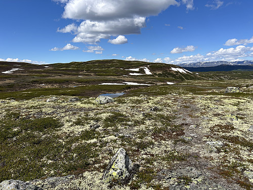 Litt sti de første hundre meterne, siden så vi ingen tråkk på denne turen.