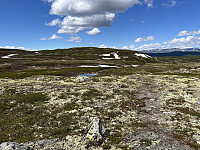 ØyvindBergkvam_20241008_67056753e4e24.jpg