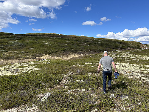 Siste bakken opp mot Vedalshøgde