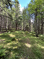ØyvindBergkvam_20241008_67056c3b54425.jpg