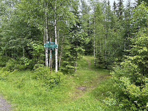 Stistart opp mot Heitåsen og Varingskollen